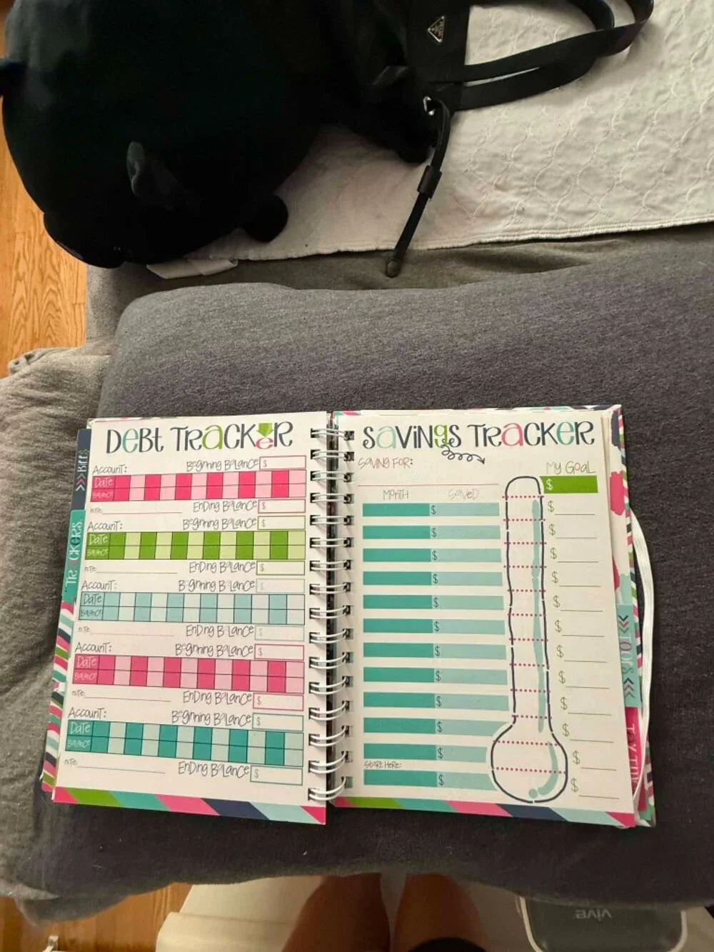 Denise Albright Budget Binder™ Undated 12-Month Budget Planner Workbook